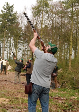  Disparos en el bosque 